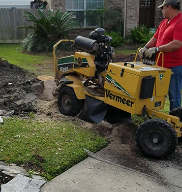 Stump Grinding
